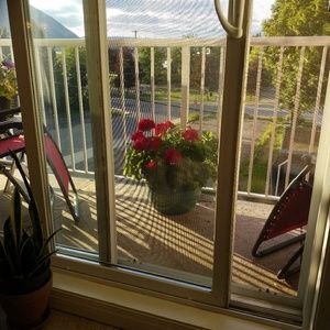 Meet your Posher, Barbara